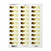 Boxer Dogs Adresetiketten Etiket (Full Sheet)