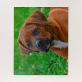 Boxer Dog's Legpuzzel (Verticaal)