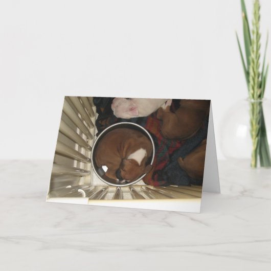 Boxer dormir dans la nourriture Bowl Carte d'anniv (Devant)