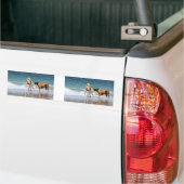 Boxer en Pal - Was dat een dolfijn? Bumpersticker (Op Truck)