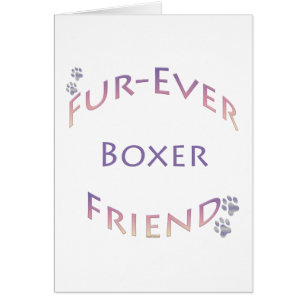 Boxer Furever