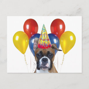 Boxer Happy Birthday Briefkaart