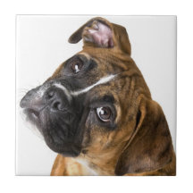 Boxer hond decoratieve tegel