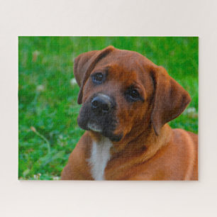 Boxer Hond Legpuzzel