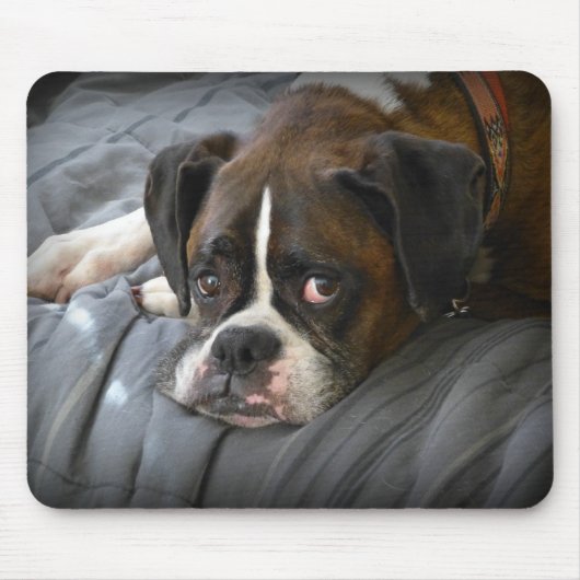 boxer, hond muismat (Voorkant)