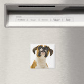 Boxer-hond op magneet (Insitu (Vaatwasser))
