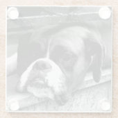 Boxer Hond op Windowsill Coastera Glazen Onderzetter (Achterkant)