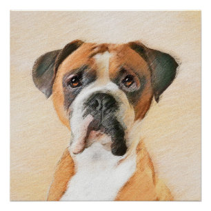 Boxer Hond Schilderen Onbijgesneden Originele Dier Perfect Poster