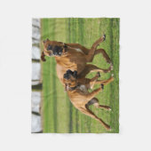 Boxer-honden rennen een grappige race fleece deken (Voorkant)