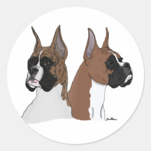 Boxer honden ronde sticker