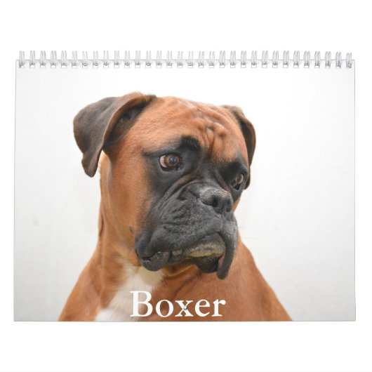 Boxer Hondenkalender Kalender (Hoes)