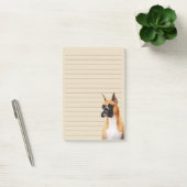 Boxer Illustrated Notes (Kantoor)
