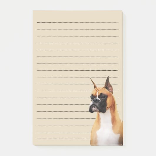 Boxer Illustrated Notes (Voorkant)