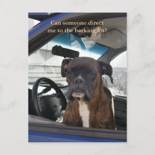 Boxer in de bestuurdersstoel in de Nederlandse hav Briefkaart