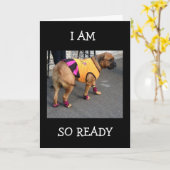 BOXER IS SO READY TO HELP CELEBRATE YOUR BIRTHDAY KAART (Gele Bloem)