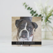 Boxer Joyeux Anniversaire De Chien Carte Anniversa (Debout devant)