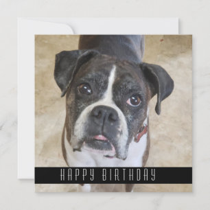 Boxer Joyeux Anniversaire De Chien Carte Anniversa