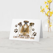 Boxer kan niet één Kaart hebben (Gele Bloem)