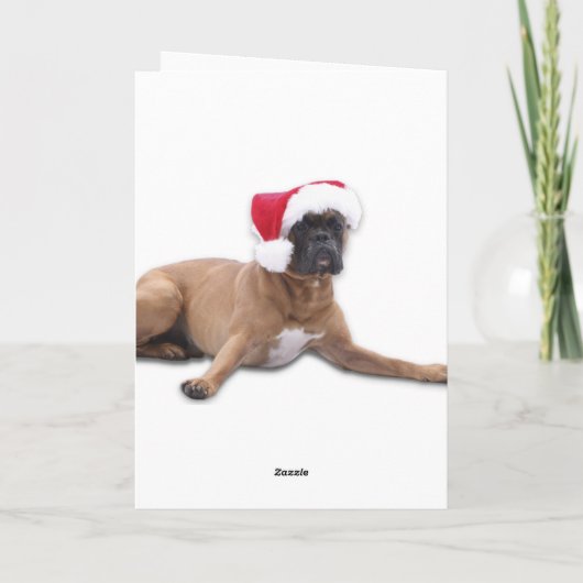Boxer-kerstkaart Feestdagen Kaart (Achterkant)