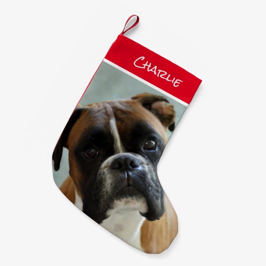 Boxer-kerststaart Kleine Kerstsok (Voorkant (Hangend))
