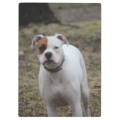 Boxer Klembord (Achterkant)
