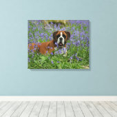 Boxer Laying in Bluebells Canvas Afdruk (Insitu (Houten vloer))