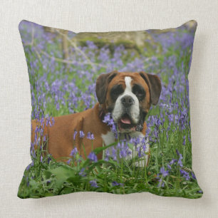 Boxer Laying in Bluebells Kussen