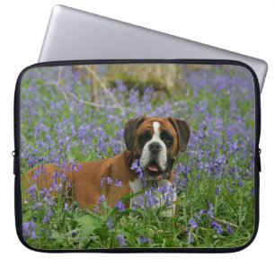 Boxer Laying in Bluebells Laptop Sleeve