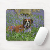 Boxer Laying in Bluebells Muismat (Met muis)