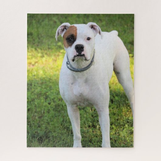 Boxer Legpuzzel (Verticaal)