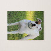 Boxer Legpuzzel (Horizontaal)