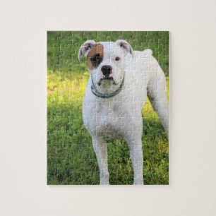 Boxer Legpuzzel