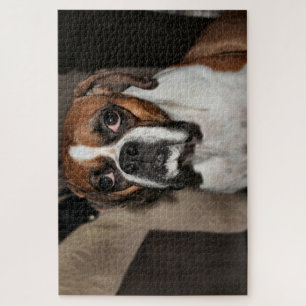 Boxer Legpuzzel
