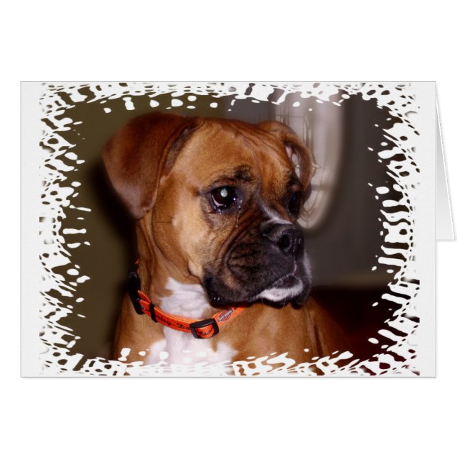 Boxer Love (Voorkant Horizontaal)