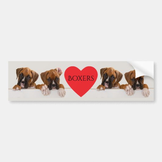 Boxer Love Bumpersticker (Voorkant)