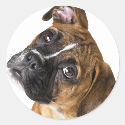 Boxer Love Ronde Sticker (Voorkant)