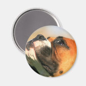 Boxer magnet magneet (Voorkant / Achterkant)