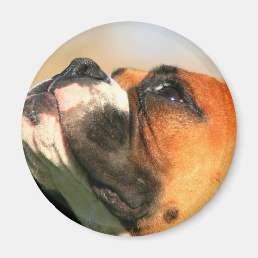 Boxer magnet magneet (Voorkant)
