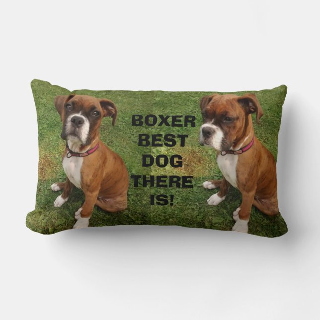 BOXER MEILLEUR CHIEN QUI SOIT  oreiller (Recto)