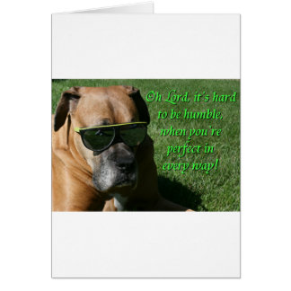 Boxer:  Moeilijk om Humble te zijn