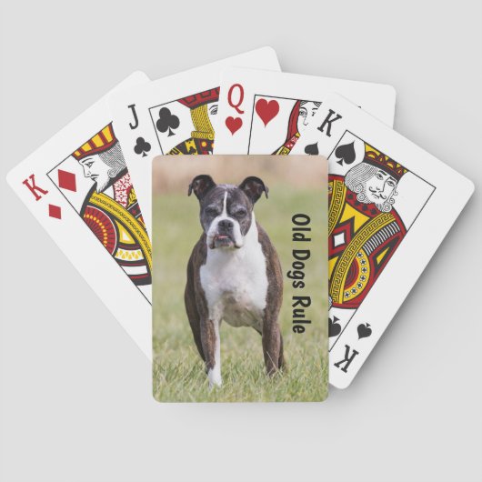 Boxer Old Dogs Rule Pokerkaarten (Achterkant)