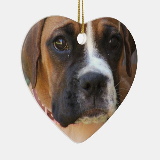 Boxer Ornament (Rechts)