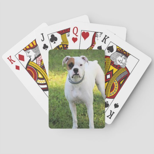Boxer Pokerkaarten (Achterkant)