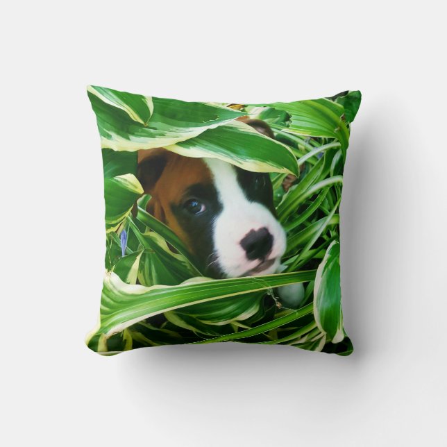 boxer pup - Brix coussin (Recto)