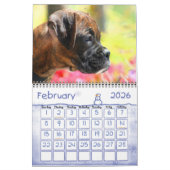 Boxer Puppies 2010 Agenda Kalender (Feb 2026)