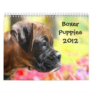 Boxer Puppies 2012 Agenda Kalender