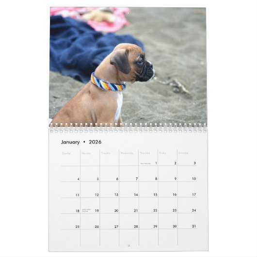 Boxer Puppies 2013 Agenda Kalender (Jan 2026)