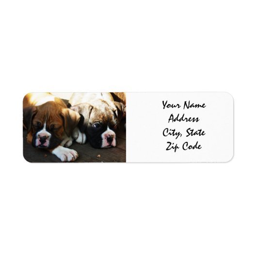 Boxer Puppies Adresetiketten Etiket (Voorkant)