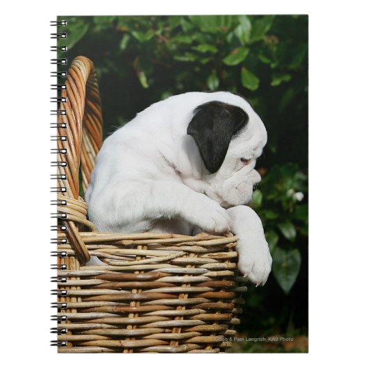 Boxer Puppies in Mand Notitieboek (Voorkant)