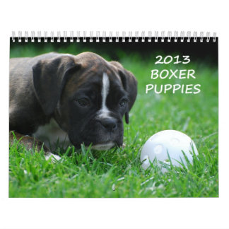 Boxer Puppy Calendar 2013 Kalender